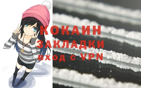 крисы Богородицк