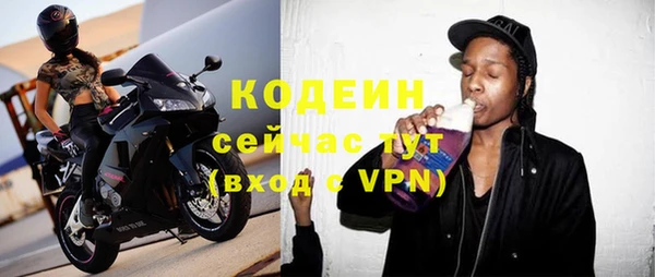 крисы Богородицк