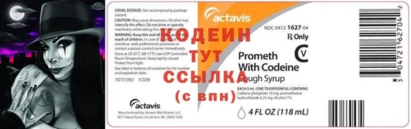 крисы Богородицк
