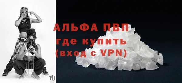 крисы Богородицк