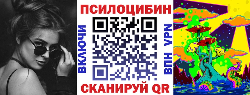 Псилоцибиновые грибы Cubensis  Ильский 